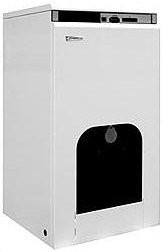Комбинированный котел Protherm Бизон 30 NL (0010003940)