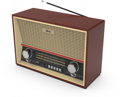 Радиоприёмник Ritmix RPR-102 Wood