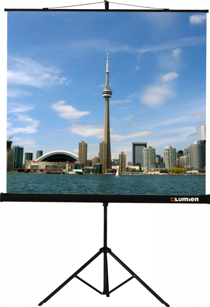 Экран Lumien Eco View 180x180 Matte White (LEV-100102)