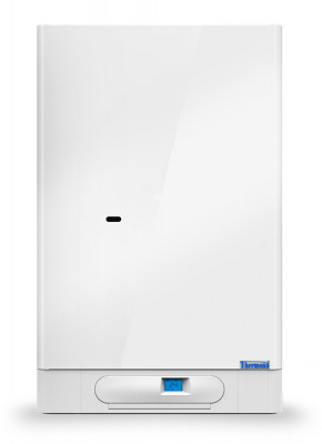 Настенный одноконтурный котел Thermona THERM DUO 43. А