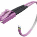 Шнур коммутационный Eurolan Tight Buffer, Duplex LC/LC, OM4 50/125, LSZH (нг(A)-HF), Ø 3,1мм, 1м, цвет: пурпурный, (41R-40-LC-LC-01)
