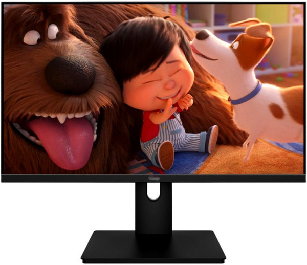 Монитор AIWA 24' MF240B-L