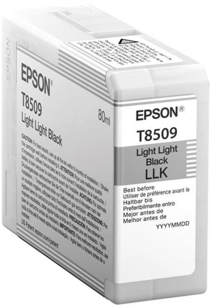 Картридж Epson C13T850900 Light Light Black