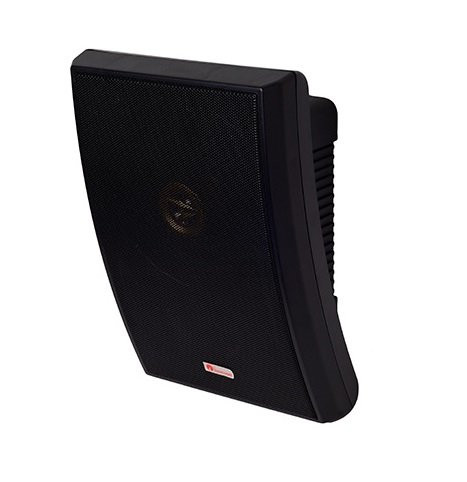 Громкоговоритель настенный АСШ-10-30/100 (НП2) черный