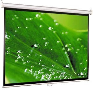 Экран ViewScreen Scroll 171x128см (WSC-4301)