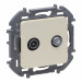 Розетка в сборе Legrand INSPIRIA, 2x TV/SAT, экр., внешняя, 75,8х75,8 мм (ВхШ), цвет: слоновая кость, (LEG.673881)