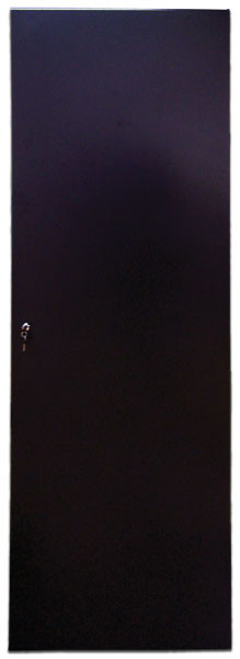 Дверь (к шкафу) TWT Business, 47U, 2277х600 мм (ВхШ), металл, для шкафов, цвет: чёрный