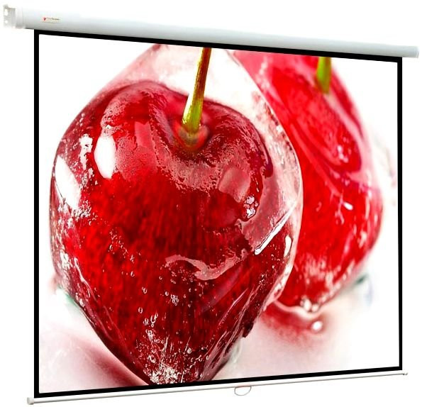 Экран ViewScreen Lotus 127x127см (WLO-1101)