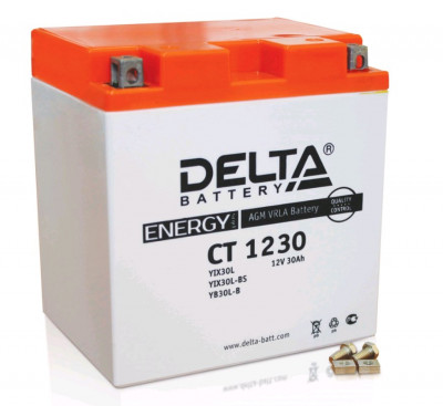 Аккумулятор для ИБП Delta Battery CT, 175х126х168 мм (ВхШхГ),  необслуживаемый свинцово-кислотный,  12V/30 Ач, (CT 1230)