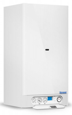Настенный газовый котел Thermona THERM 18/23 TCLN.A