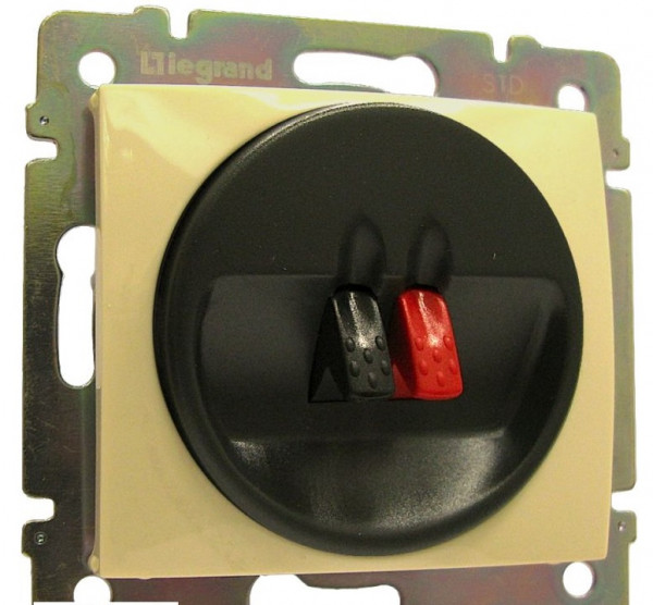 Розетка в сборе Legrand Valena, 1x DIN 41 529, кат. 5е, экр., внутренняя, 51х58 мм (ВхШ), цвет: слоновая кость, (LEG.774123)