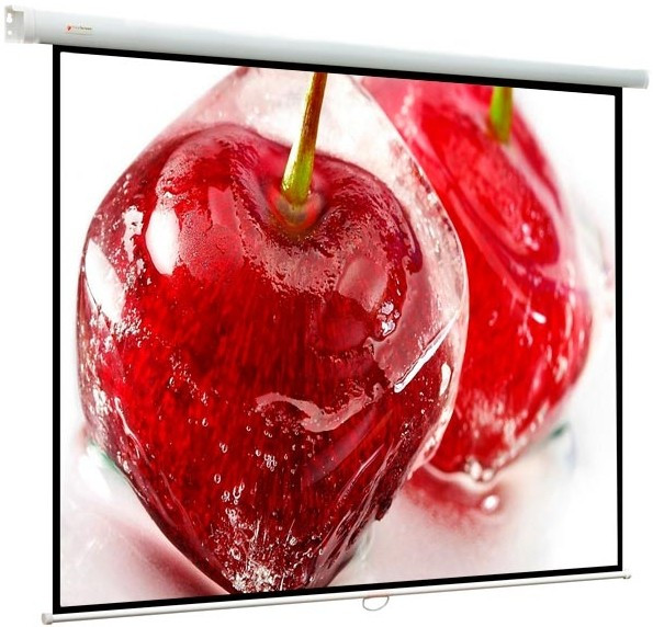 Экран ViewScreen Lotus 153x153см (WLO-1102)