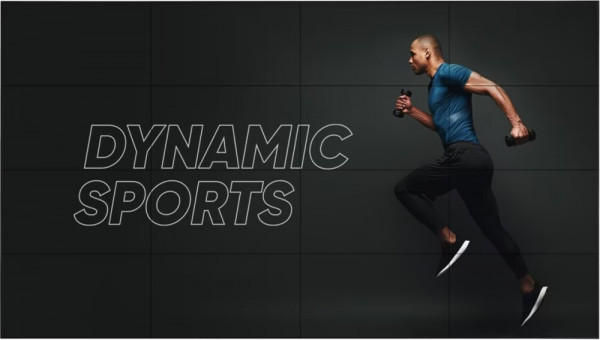 ЖК панель LG 55' 55VL5PJ-A