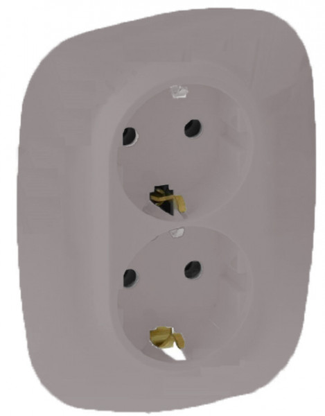 Розетка электрическая Legrand Valena Allure, 2x2к+З, 16А, 157х86 мм (ВхШ), шторки защитные, цвет: алюминий, безвинтовые зажимы (753926)