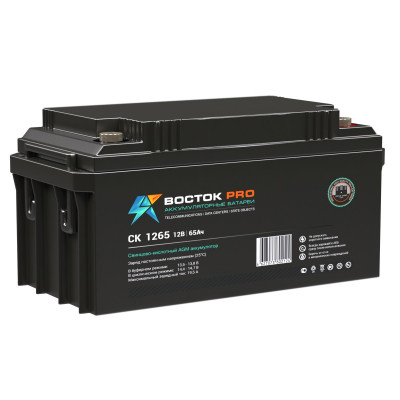 Аккумулятор для ИБП ВОСТОК СК, 173х167х350 мм (ВхШхГ),  необслуживаемый свинцово-кислотный,  12V/65 Ач, цвет: чёрный, (СК 1265)
