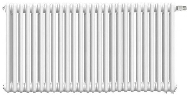 Стальной трубчатый радиатор 2-колончатый IRSAP TESI 0565/2-26 T25 Cod01 (RR2.0565.26.01.0025)
