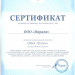 Стальной панельный радиатор Тип 11 Kermi FTV(FKV) 11 600x2300