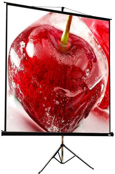 Экран ViewScreen Clamp Pro 127x127см (TCP-1101)