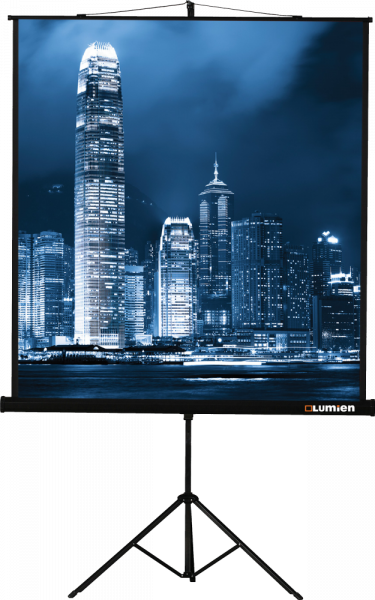 Экран Lumien Master View 220x220 Matte White FiberGlass