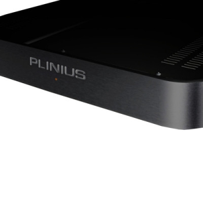 Plinius Koru black