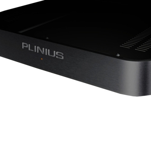 Plinius Koru black