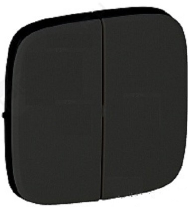 Клавиша для выключателя Legrand Valena Allure, 58х51 мм (ВхШ), кол-во клавиш: 1, для 2-ух полюсного выключателя, цвет: темная нержавеющая сталь, (LEG.755123)