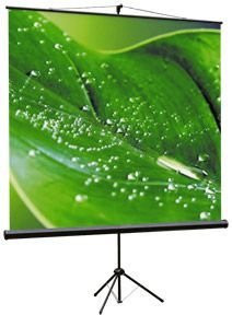 Экран ViewScreen Clamp 200x200см (TCL-1103)