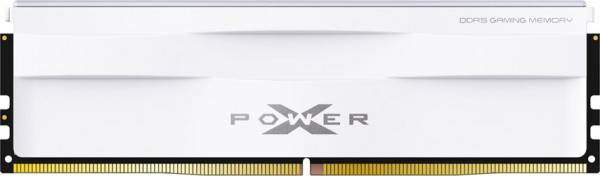 Оперативная память 32Gb DDR5 5600MHz Silicon Power XPower Zenith (SP032GXLWU560FSG)