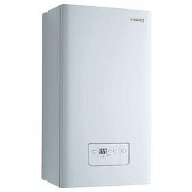 Настенный двухконтурный котел Protherm Gepard 12 MTV (0010015237)