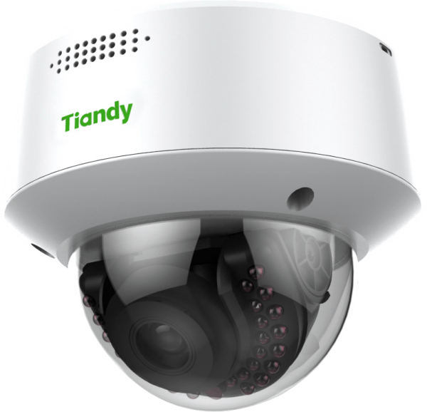 IP камера Tiandy TC-NC24M