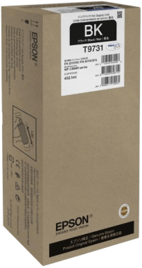 Картридж Epson C13T973100 Black