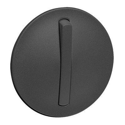 Лицевая панель для выключателя Legrand Celiane, 146х97 мм (ВхШ), с подсветкой, кол-во клавиш: 1, тонкая клавиша, цвет: графит, (LEG.065203)