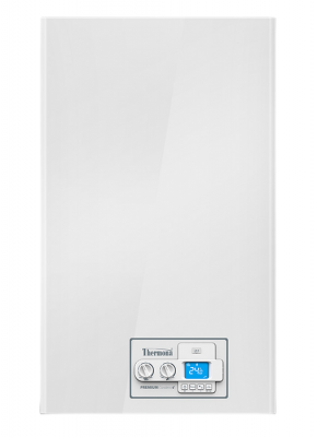 Настенный газовый котел Thermona THERM 18 KDC
