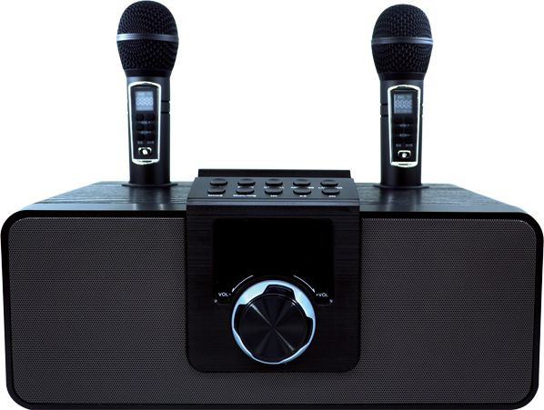 Портативная акустика Ritmix SP-660B Black