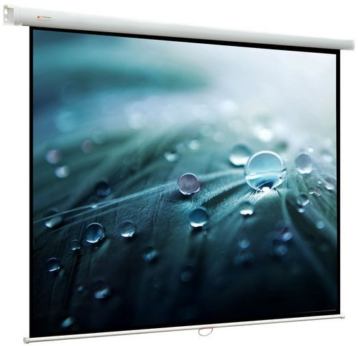 Экран ViewScreen Lotus 220x183см (WLO-4309)