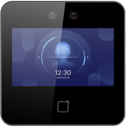 Терминал доступа HiWatch ACT-T1343MW