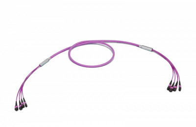 Коммутационный шнур оптический Eurolan, MTP/MTP, OM4 50/125, LSZH (нг(A)-HF), Ø 5,5мм, 100м, цвет: пурпурный, (43M-40-48-M1-M1-100-0E-FFA-10)