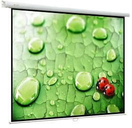 Экран ViewScreen Lotus 244x183см (WLO-4304)