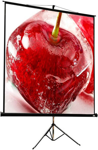 Экран ViewScreen Clamp Pro 213x213см (TCP-1105)