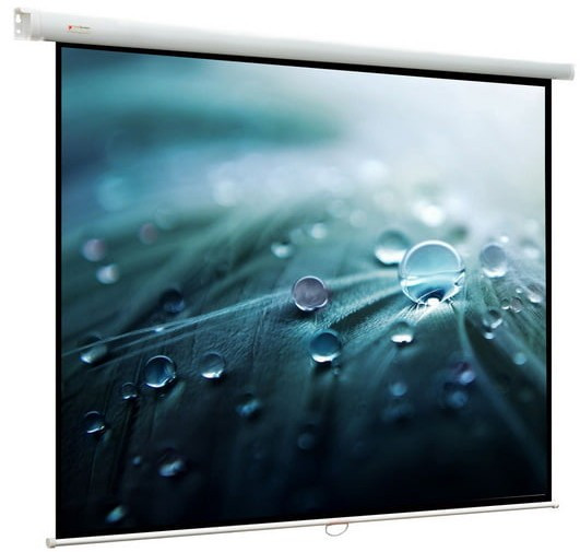 Экран ViewScreen Lotus 244x244см (WLO-1106)