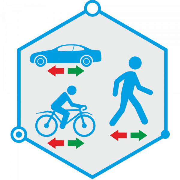 Программное обеспечение для IP-систем видеонаблюдения TRASSIR Direction Detector