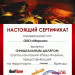 Широкий портал Real-Flame Leticia 26 WT
