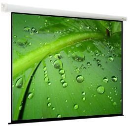 Экран ViewScreen Breston 203x153см (EBR-4303)