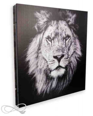 Инфракрасный обогреватель СТЕП 250/0,59 x 0,59 УФ-печать