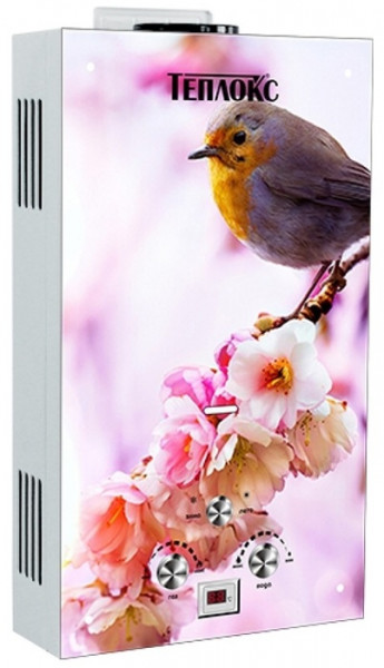 Газовый проточный водонагреватель Теплокс ГПВС-10 (ГПВС-10-ПТ1)