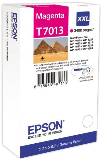 Картридж Epson C13T70134010