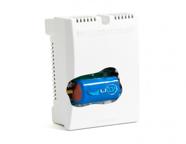 Источник вторичного электропитания резервированный СКАТ-1200 Li-ion (СКАТ ИБП-12/4-9,6/Li) (264)