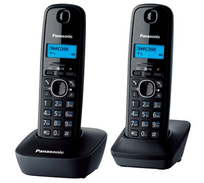 Радиотелефон Panasonic KX-TG1612RUH