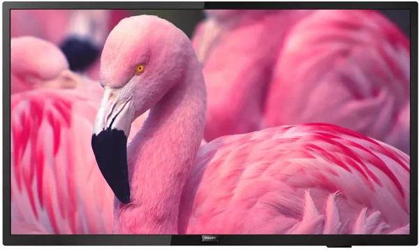 ЖК телевизор Philips 43' 43HFL4014/12
