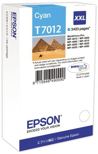 Картридж Epson C13T70124010